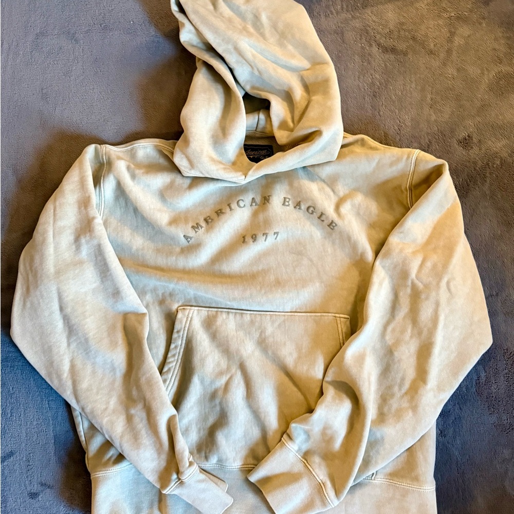 American Eagle Sage Green Men’s Hoodie